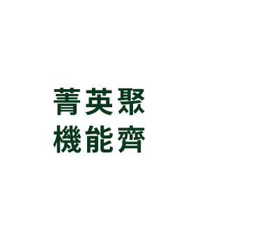 夢幻生活匯聚 觀音市心璀璨黃金座標
